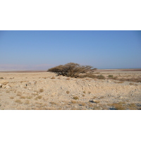 รูปถ่าย อิสราเอล(Israel) ทะเลดำ(Dead Sea) 2007-06 178