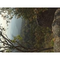 รูปถ่าย ไทย(Thailand) อุทยานแห่งชาติภูหินร่องกล้า(Phu Hin Rong Kla National Park) 2014-12 390