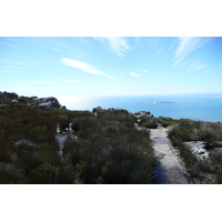 รูปถ่าย แอฟริกาใต้(South Africa) เคปทาวน์(Cape Town) ภูเขาเทเบิล(Table Mountain) 2008-09 42