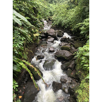 รูปถ่าย กวาเดอลูป(Guadeloupe) น้ำตกการ์เบ(Carbet Falls) 2021-02 2