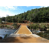 รูปถ่าย นิวแคลิโดเนีย(New Caledonia) อุทยานริเวียร์เบลอ(Parc de la Riviere Bleue) 2010-05 159