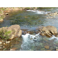 รูปถ่าย นิวแคลิโดเนีย(New Caledonia) อุทยานริเวียร์เบลอ(Parc de la Riviere Bleue) 2010-05 10
