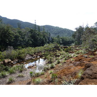 รูปถ่าย นิวแคลิโดเนีย(New Caledonia) อุทยานริเวียร์เบลอ(Parc de la Riviere Bleue) 2010-05 4