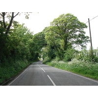รูปถ่าย อังกฤษ(United Kingdom) เปมโบรคเชอร์(Pembrokeshire) 2006-05 16