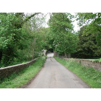รูปถ่าย อังกฤษ(United Kingdom) เปมโบรคเชอร์(Pembrokeshire) แลมปลี(Lamphey) 2006-05 6