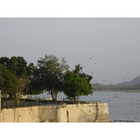 รูปถ่าย อินเดีย(India) อูไดปูร์(Udaipur) 2003-05 166