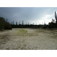รูปถ่าย นิวแคลิโดเนีย(New Caledonia) เกาะต้นสน(Ile des pins) อ่าวโอโร(Oro Bay) 2010-05 93