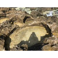 รูปถ่าย กวาเดอลูป(Guadeloupe) แหลมคาสเซิลพอยต์(Castle Point) 2021-02 159