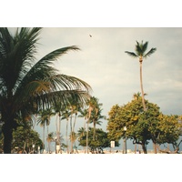 รูปถ่าย สหรัฐอเมริกา(United States) ไมแอมีบีช(Miami Beach) 1991-11 31