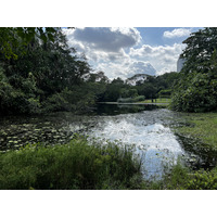 รูปถ่าย สิงคโปร์(Singapore) สวนพฤกษศาสตร์สิงคโปร์(Singapore Botanic Gardens) 2023-01 4