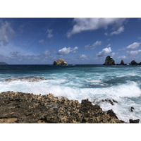 รูปถ่าย กวาเดอลูป(Guadeloupe) แหลมคาสเซิลพอยต์(Castle Point) 2021-02 332