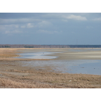 รูปถ่าย เอสโตเนีย(Estonia) แพร์นู(Parnu) 2009-04 4
