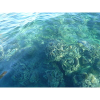 รูปถ่าย ฟิจิ(Fiji) เกาะแคสต์อะเวย์(Castaway Island) 2010-05 169