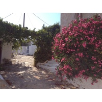 รูปถ่าย กรีก(Greece) เกาะอามอร์กอส(Amorgos) 2014-07 344