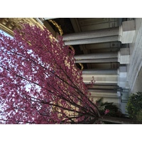 รูปถ่าย ฝรั่งเศส(France) ปารีส(Paris) ปตีปาเล(Petit Palais) 2016-03 6