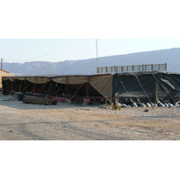 รูปถ่าย อิสราเอล(Israel) ทะเลดำ(Dead Sea) 2007-06 168