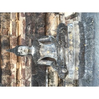 รูปถ่าย ไทย(Thailand) สุโขทัย(Sukhothai) 2014-12 9