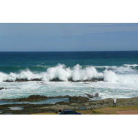 รูปถ่าย แอฟริกาใต้(South Africa) อุทยานแห่งชาติซิตซิคัมมา(Tsitsikamma National Park) 2008-09 468
