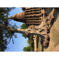 รูปถ่าย ไทย(Thailand) สุโขทัย(Sukhothai) 2014-12 37
