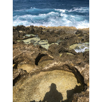 รูปถ่าย กวาเดอลูป(Guadeloupe) แหลมคาสเซิลพอยต์(Castle Point) 2021-02 180