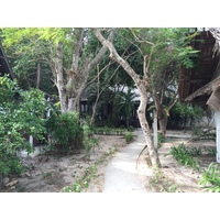 รูปถ่าย ไทย(Thailand) เกาะเสม็ด(Ko Samet) 2014-12 39