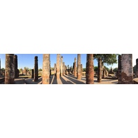 รูปถ่าย ไทย(Thailand) สุโขทัย(Sukhothai) 2014-12 56