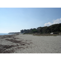 รูปถ่าย ฝรั่งเศส(France) คอร์สิคา(Corsica) วัลเล-ดาเลซานี(Valle d'alesani) 2006-09 116