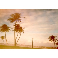 รูปถ่าย สหรัฐอเมริกา(United States) ไมแอมีบีช(Miami Beach) 1991-11 6