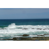 รูปถ่าย แอฟริกาใต้(South Africa) อุทยานแห่งชาติซิตซิคัมมา(Tsitsikamma National Park) 2008-09 85