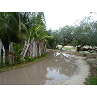 รูปถ่าย นิวแคลิโดเนีย(New Caledonia) เกาะต้นสน(Ile des pins) อ่าวโอโร(Oro Bay) 2010-05 95