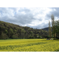 รูปถ่าย อังกฤษ(United Kingdom) หุบเขาไวย์(Wye Valley) 2006-05 51