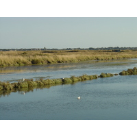 รูปถ่าย ฝรั่งเศส(France) เกรองเดอ(Guerande) 2004-08 17
