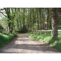 รูปถ่าย อังกฤษ(United Kingdom) หุบเขาไวย์(Wye Valley) 2006-05 45