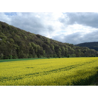 รูปถ่าย อังกฤษ(United Kingdom) หุบเขาไวย์(Wye Valley) 2006-05 29