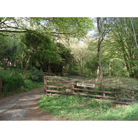 รูปถ่าย อังกฤษ(United Kingdom) หุบเขาไวย์(Wye Valley) 2006-05 34