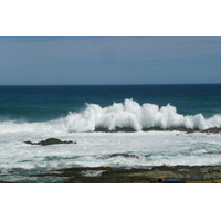 รูปถ่าย แอฟริกาใต้(South Africa) อุทยานแห่งชาติซิตซิคัมมา(Tsitsikamma National Park) 2008-09 122