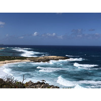 รูปถ่าย กวาเดอลูป(Guadeloupe) แหลมคาสเซิลพอยต์(Castle Point) 2021-02 315