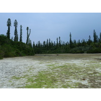 รูปถ่าย นิวแคลิโดเนีย(New Caledonia) เกาะต้นสน(Ile des pins) อ่าวโอโร(Oro Bay) 2010-05 5