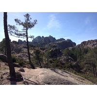 รูปถ่าย ฝรั่งเศส(France) คอร์สิคา(Corsica) ป่าลอสเปดาเล(L'ospedale Forest) 2012-09 16