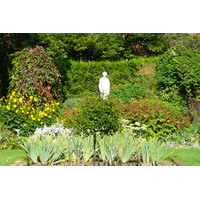 รูปถ่าย ฝรั่งเศส(France) ปารีส(Paris) สวนพันธ์ุพืช(Jardin des Plantes) 2007-08 40
