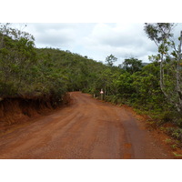 รูปถ่าย นิวแคลิโดเนีย(New Caledonia) อุทยานริเวียร์เบลอ(Parc de la Riviere Bleue) 2010-05 143