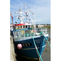รูปถ่าย ฝรั่งเศส(France) โรสคอฟ(Roscoff) 2007-08 44