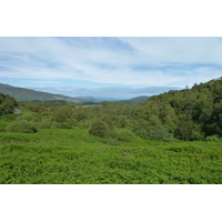 รูปถ่าย อังกฤษ(United Kingdom) ทรอสซักส์(The Trossachs) 2011-07 38