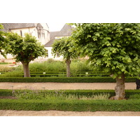 รูปถ่าย ฝรั่งเศส(France) ฟงเตอโวร์(Fontevraud) 2011-05 175