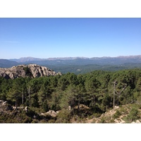 รูปถ่าย ฝรั่งเศส(France) คอร์สิคา(Corsica) ป่าลอสเปดาเล(L'ospedale Forest) 2012-09 54