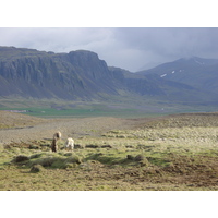 รูปถ่าย ไอซ์แลนด์(Iceland) ถนนหมายเลข 36, 52 และ 50(road 36, 52 and 50) 2003-06 7