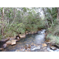 รูปถ่าย นิวแคลิโดเนีย(New Caledonia) อุทยานริเวียร์เบลอ(Parc de la Riviere Bleue) 2010-05 65