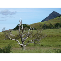 รูปถ่าย นิวแคลิโดเนีย(New Caledonia) 2010-05 48