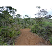รูปถ่าย นิวแคลิโดเนีย(New Caledonia) อุทยานริเวียร์เบลอ(Parc de la Riviere Bleue) 2010-05 79