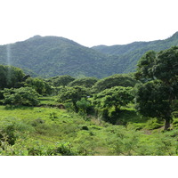 รูปถ่าย นิวแคลิโดเนีย(New Caledonia) ถนนจากตงตูตาไปทีโอ(Tontouta to Thio road) 2010-05 60